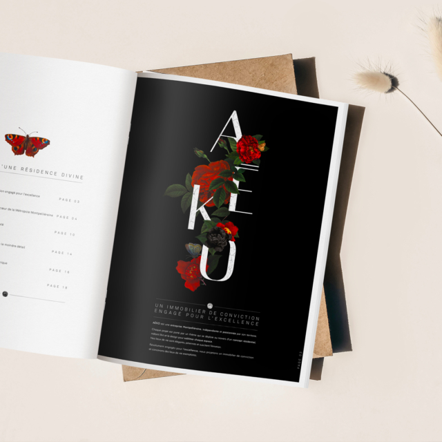 Références Plaquettes et Brochures aeko conception de la plaquette celeste double en collaboration avec l'agence ardence.jpg