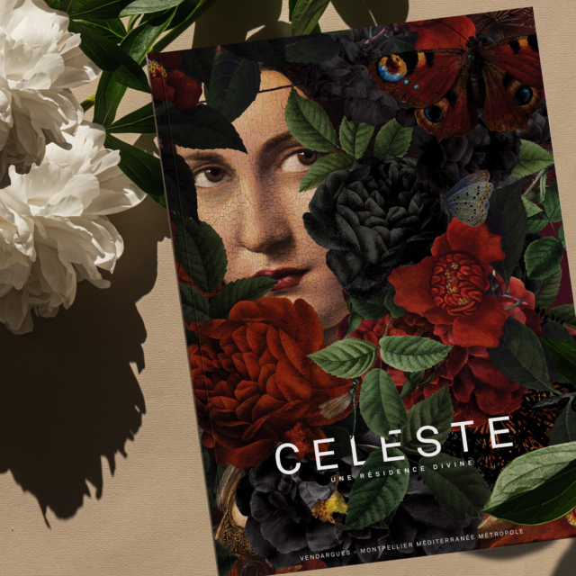 Références Plaquettes et Brochures aeko conception de la plaquette celeste en collaboration avec l'agence ardence