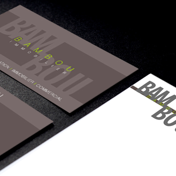 bambou immobilier création de l’identité visuelle en collaboration avec l'agence pixart images