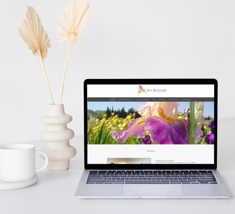 iris bertrand réalisation du site internet