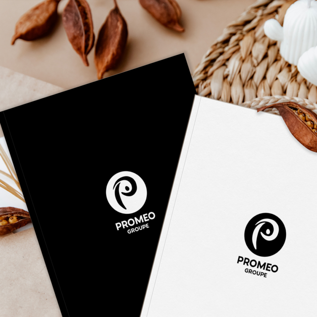 Références Plaquettes et Brochures promeo plaquette corporate en collaboration avec l'agence ardence