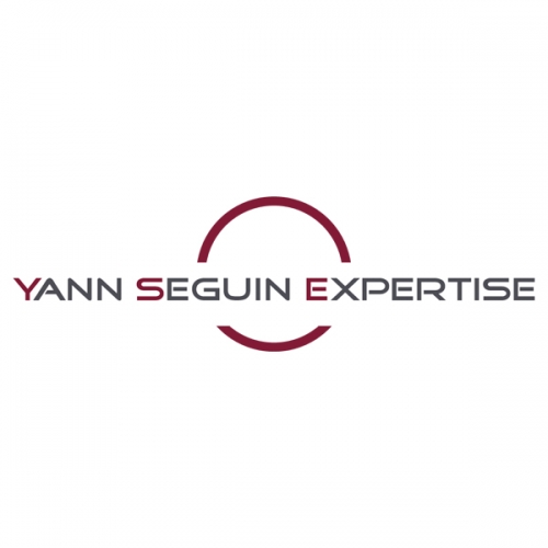 yann seguin expertise création du logo en collaboration avec l’agence id’press & pixart images.